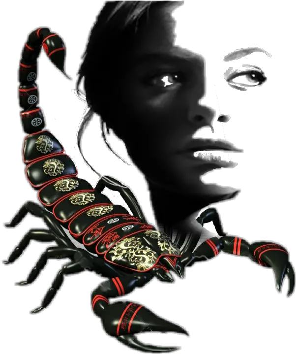 Scorpion Sticker By Scorpionindia1968 Png Transparent Background