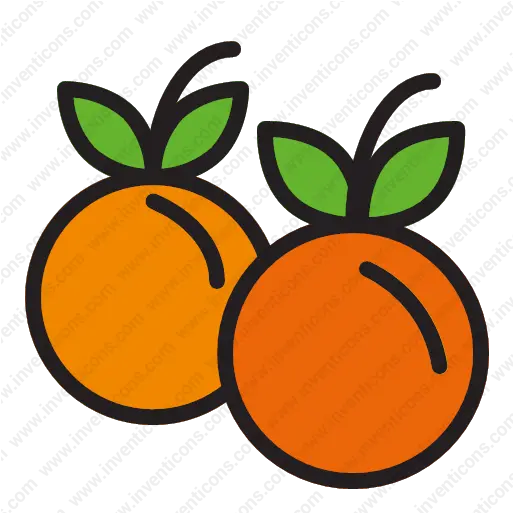 Download Thanksgiving Celebration Festival Fruit Vector Icon Fresh Png Fruit Icon