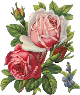 Flowers Png Images Les Roses De Provence Decoupage Paper Rose Flower Png