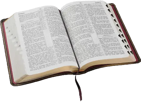 Biblia Evangelica Png