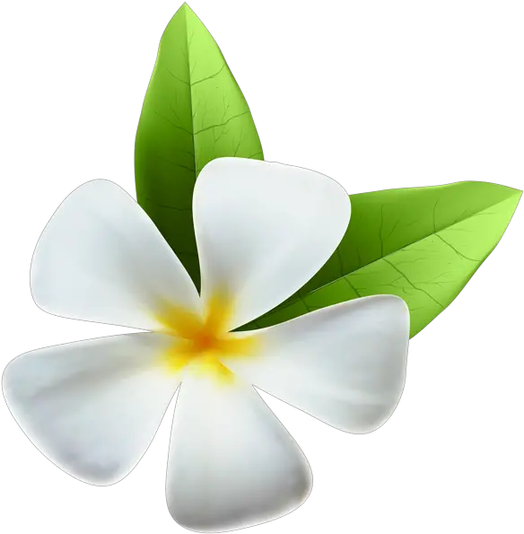 Tropical Flow Png Clipart Jasmine Flower Png Transparent Hawaiian Flowers Png