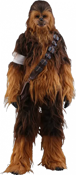 Force Awakens Chewbacca Hot Toys Star Wars Chewbacca Png Chewbacca Transparent