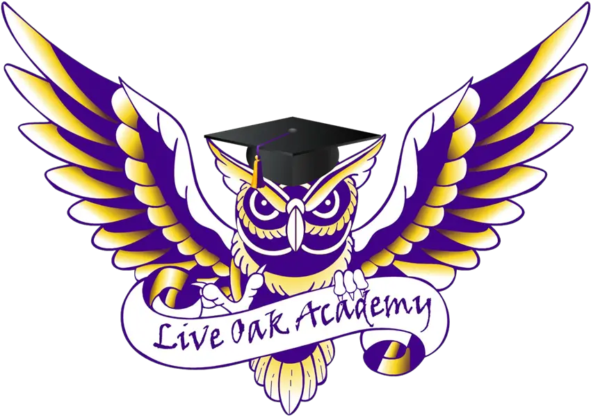 Download Graduation Cap U0026 Gown Live Oak Academy Hays Png Purple Owl In Cap And Gown Cap And Gown Icon