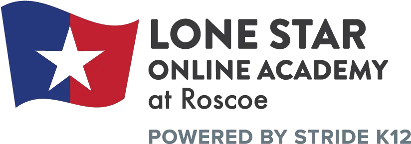 How To Enroll Lone Star Online Academy Guinness Record Png Texas Star Icon