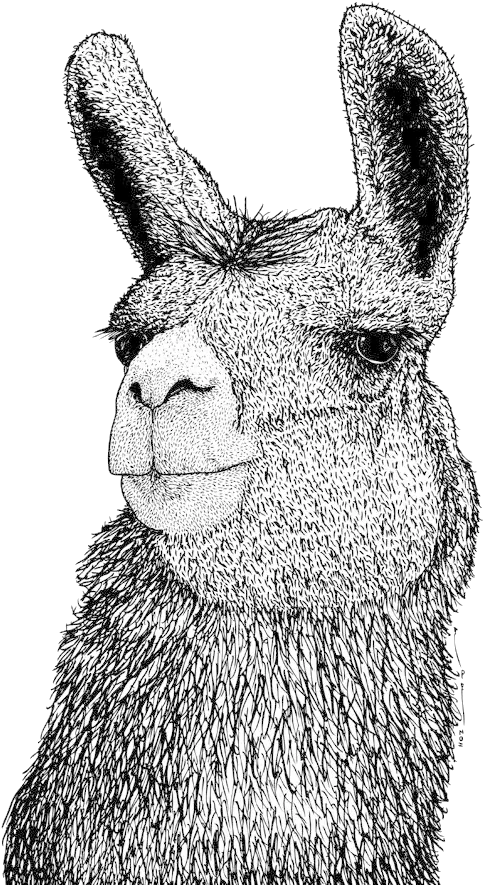 Llama Png By Birdy212 Drawing Llama Png