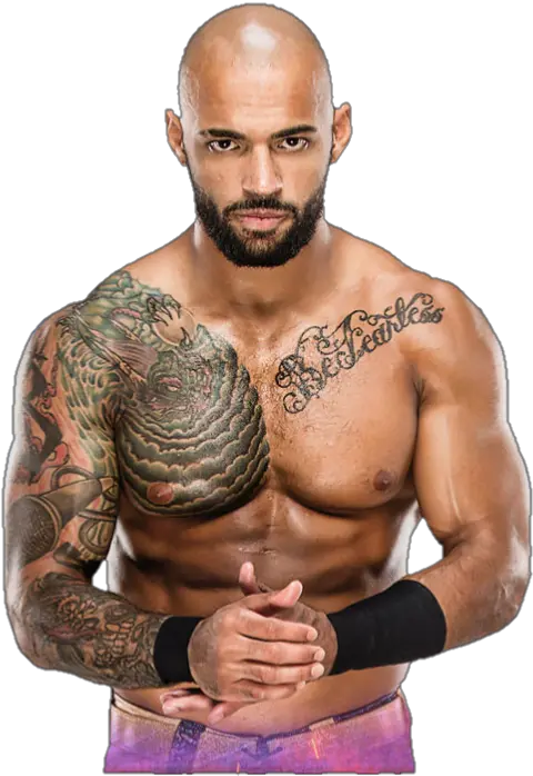 Download Ricochet Png Wwe Roman Reigns Png