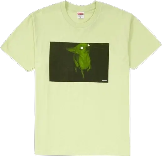 Supreme Chris Cunningham Chihuahua Tee Pale Mint Used Grasshopper Png Supreme Shirt Png