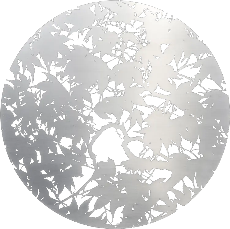 Japanese Maple By Ian Turnock 2019 Sculpture Stainless Steel Singulart Circle Png Japanese Maple Png