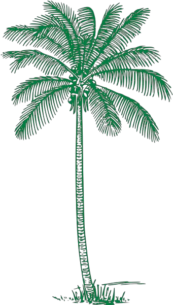 Palm Tree Png Svg Clip Art For Web Download Clip Art Png Palm Tree Drawing Png Palm Tree Emoji Png