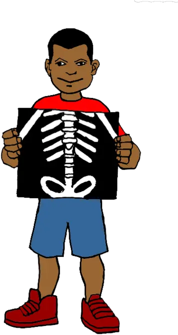 X X Ray Clipart Png X Ray Png