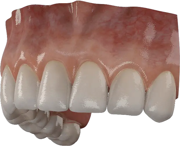 Download 3d Teeth Data Sheet Teeth 3d Model Free Download Png Teeth Png