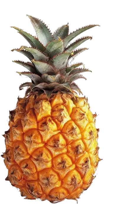 Google Search Fruit Pineapple Transparent Png Pineapple Transparent