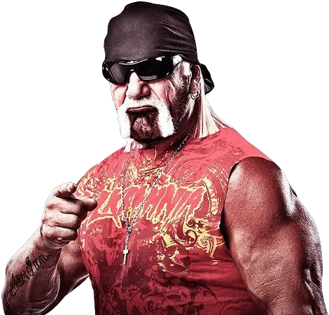 Hulk Hogan Png Tna Lockdown 2013 Hulk Hogan Png