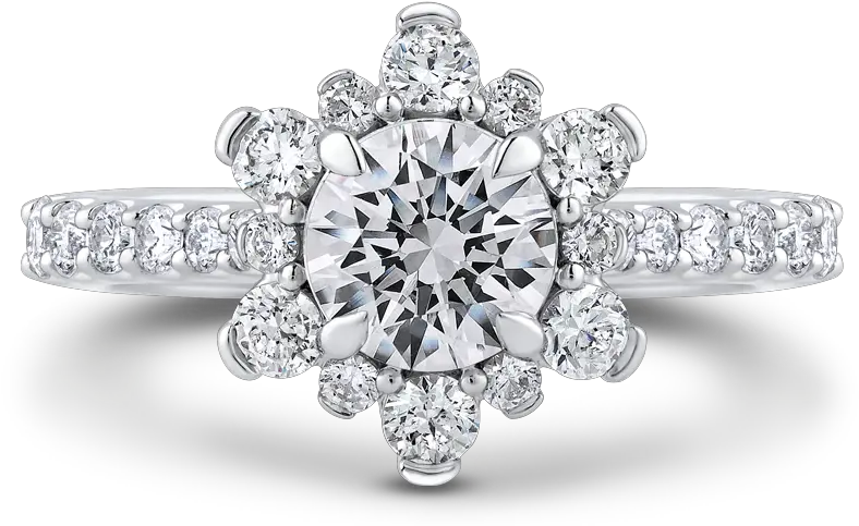 Halo Engagement Rings In Cleveland Tn Bw James Jewelers Diamond Ring In America Png Halo Ring Png