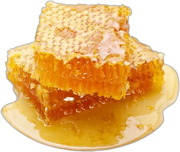 Raw Honeycomb Transparent Png Honeycomb Honey Comb Png