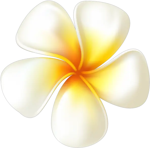 Plumeria Flower Transparent Png Clip Transparent Background Frangipani Png Plumeria Png