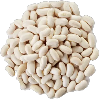 White Beans Lazez Natural Taste Of Freshness Navy Bean Png Beans Transparent