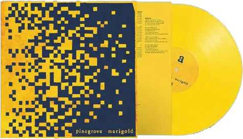 Marigold 12 Vinyl Limited Edition Yellow Pinegrove Marigold Png Marigold Transparent