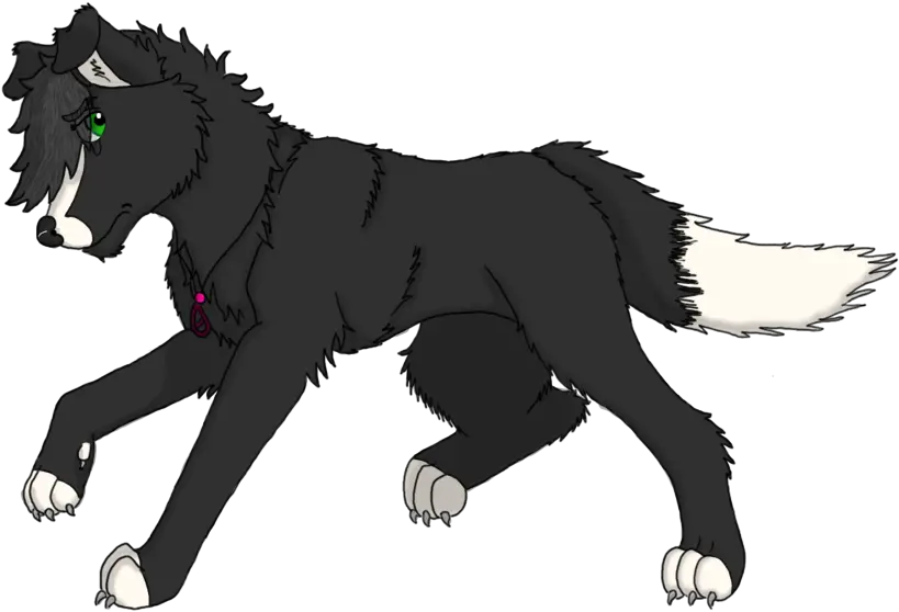 Border Collie Tf 4 By Forgottenbreed Fur Affinity Dot Net Dog Catches Something Png Border Collie Png