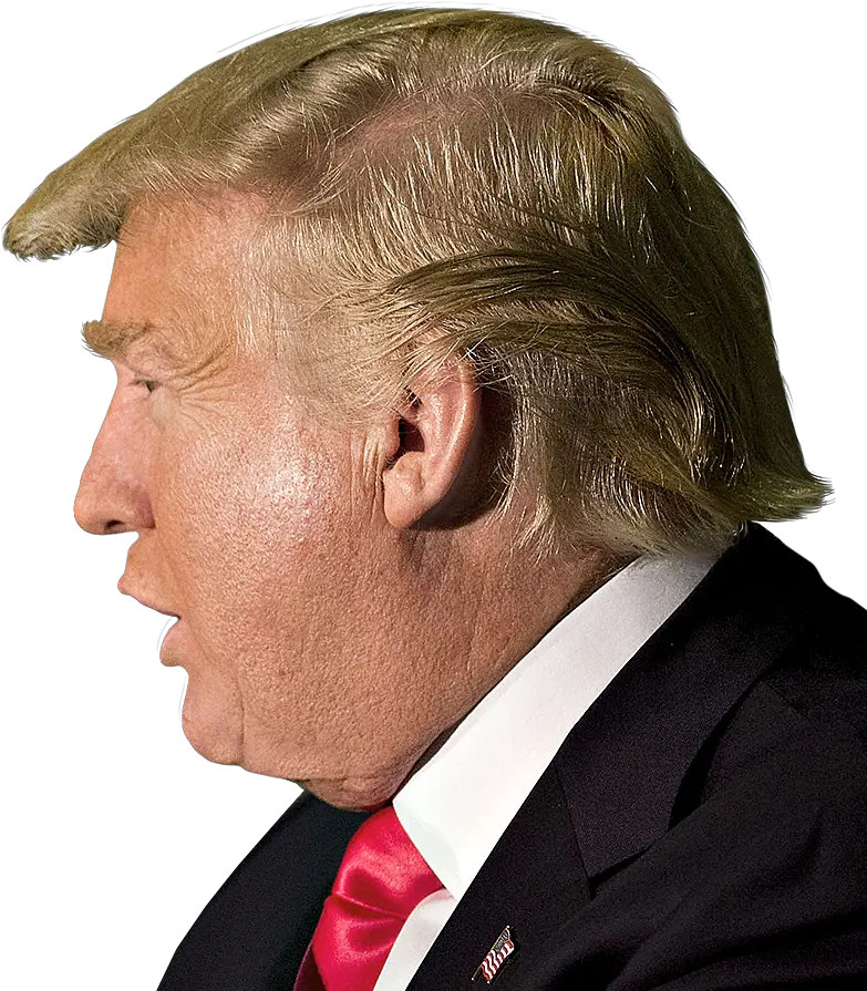 Donald Trump Head Will See You Un Court Png Donald Trump Side View Trump Png