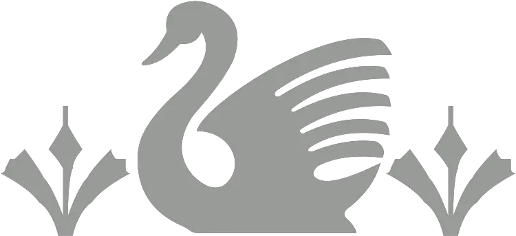 Download Free Png Swan U2013 Schwan Dlpngcom Swan Cartoon Black And White Png Swan Logo