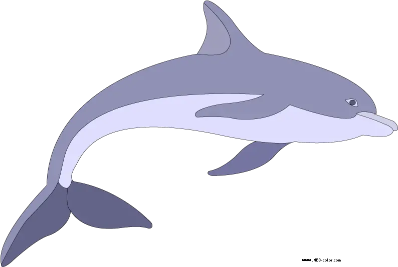 Clipart Dolphin Transparent Background Portable Network Graphics Png Dolphin Transparent Background