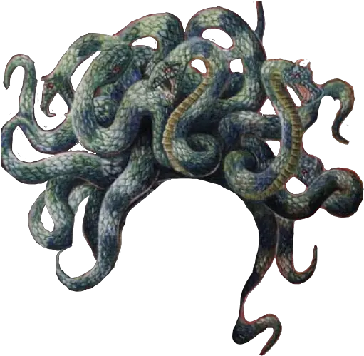 Remix Sticker Medusa Gorgon Snakes Medusas Snakes Png Medusa Png