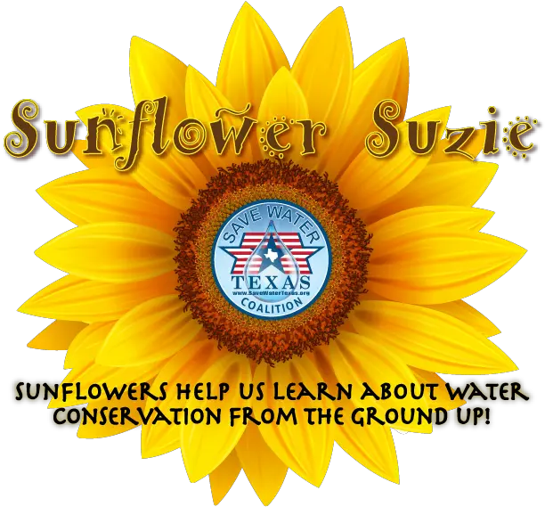 Sunflower Suzie Vetor Girassol Desenho Png Sunflower Logo