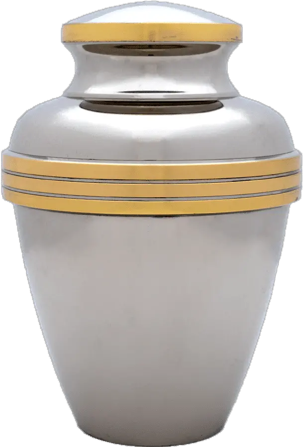 Apollo Urn Serveware Png Cocktail Shaker Icon