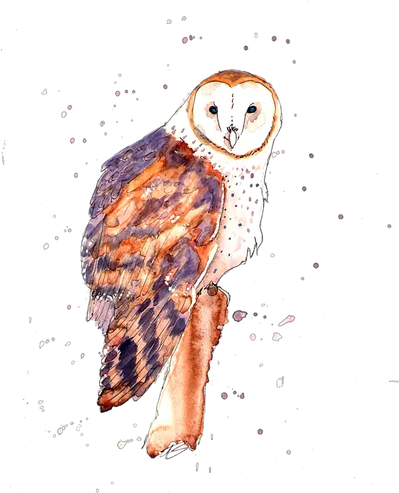 Barn Owl Weekender Tote Bag For Sale Barn Owl Png Barn Owl Icon