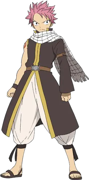 Natsu Dragneel From Fairy Tail Natsu Fairy Tail Characters Png Natsu Transparent