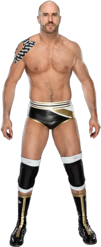 Cesaro Cesaro Png 2021 Wwe Layla Icon