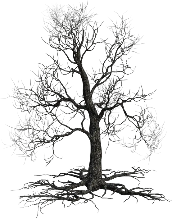 Creepy Tree Autumn Nature Creepy Tree Png Creepy Png