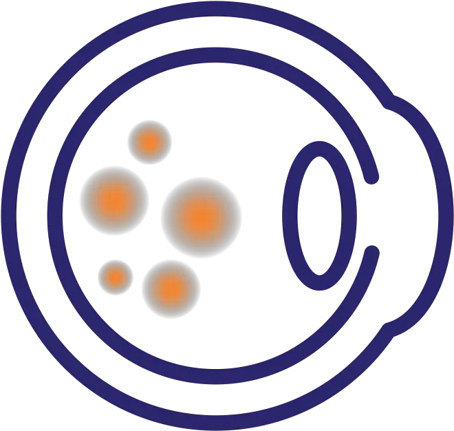 Age Related Macular Degeneration Wet Armd U0026 Dry Armd Macular Degeneration Icon Png Wet Icon