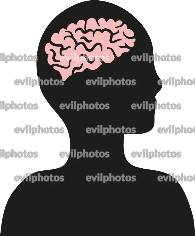 Brain Drawing Illustration Png Brain Vector Png