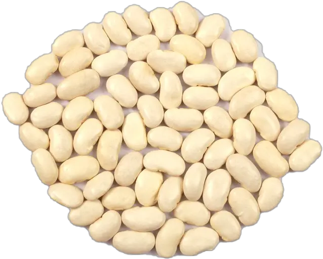Kidney Beans Png Pic Background Play Seed Beans Png