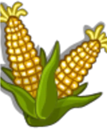Sweet Corn Australia Farmville Wiki Fandom Floral Design Png Corn Stalk Png