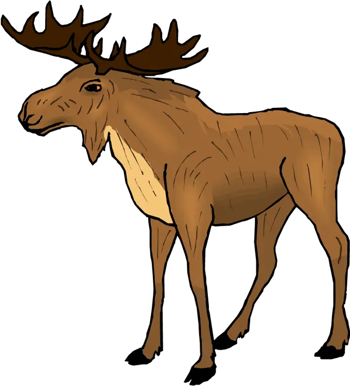 Moose Png Transparent Image Moose Clipart Transparent Moose Png