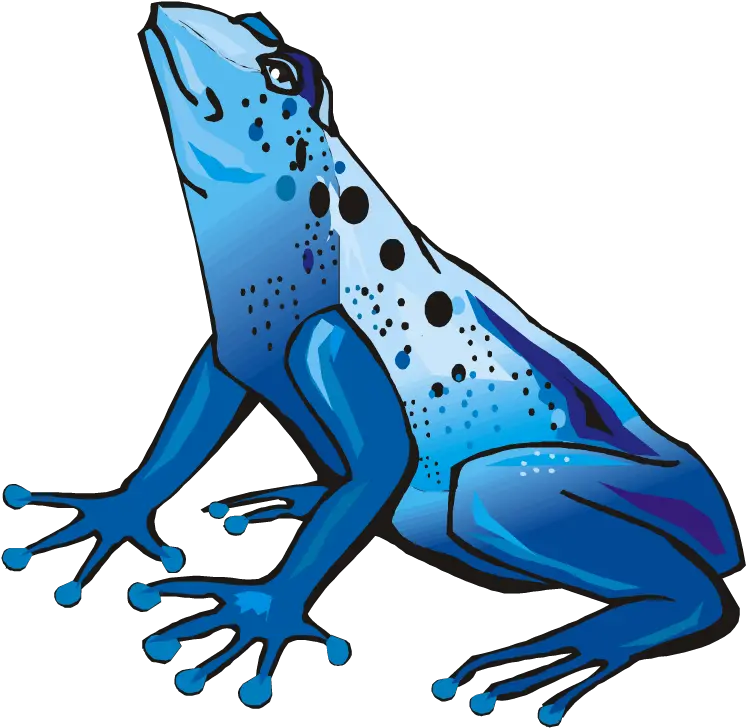 Download Frog Clipart Baseball Poison Dart Frog Poison Dart Frog Clipart Png Frog Transparent Background