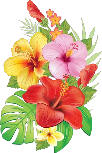 Moana Flowers Clipart Tropical Flowers Png Hawaiian Flowers Png