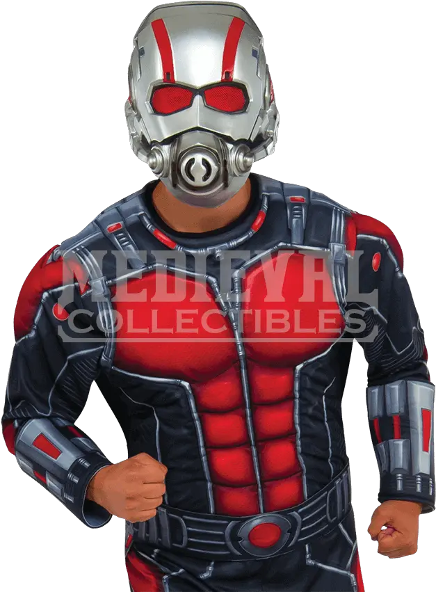 Ant Deguisement Ant Man M Adult Png Antman Png