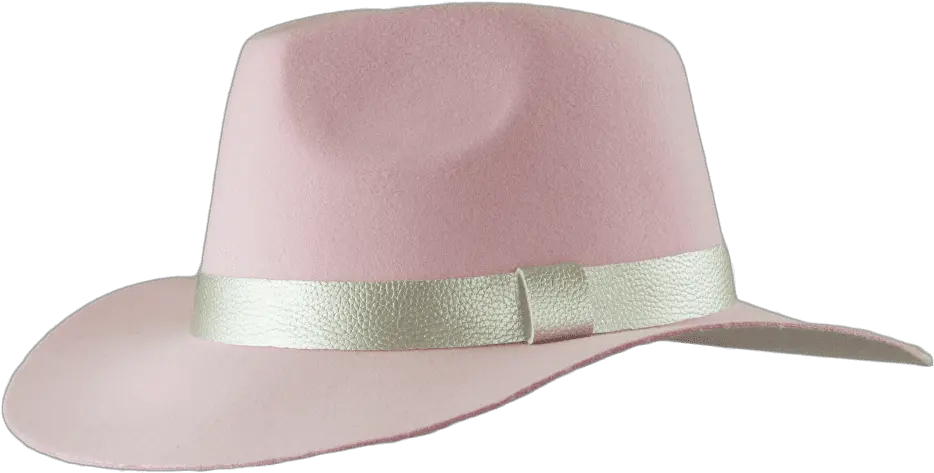 Pink Hat 15 Gifts For The Lady Gaga Obsessed Popsugar Lady Gaga Joanne Merch Hat Png Lady Gaga Transparent