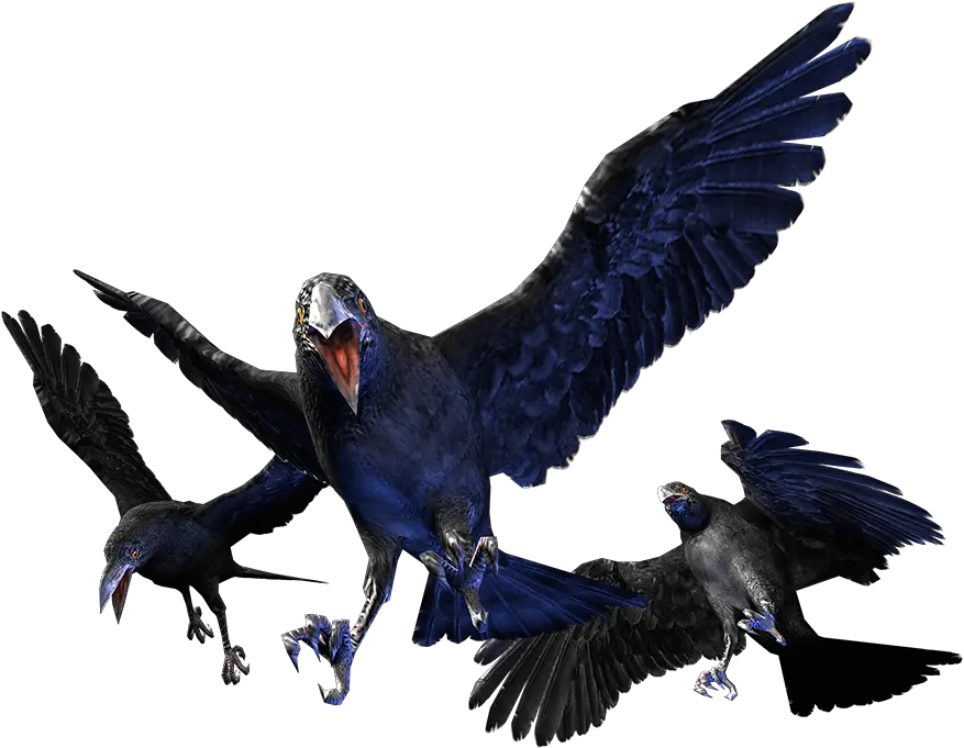 Crow Clipart Resident Evil Transparent Zombie Crow Resident Evil Png Crow Transparent