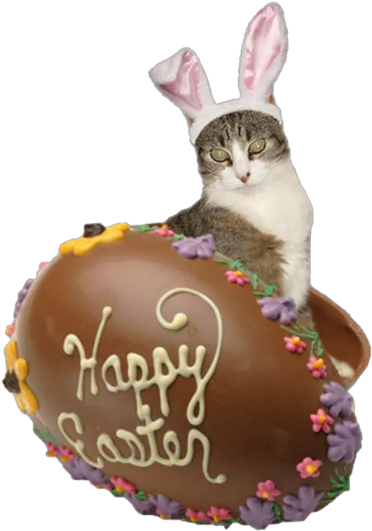 Easter Bunny Chocolate Png Free Chocolate Easter Eggs Chocolate Bunny Png