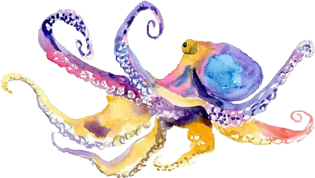 Pastel Watercolor Octopus Original Painting Octopus Watercolor Png Octopus Png