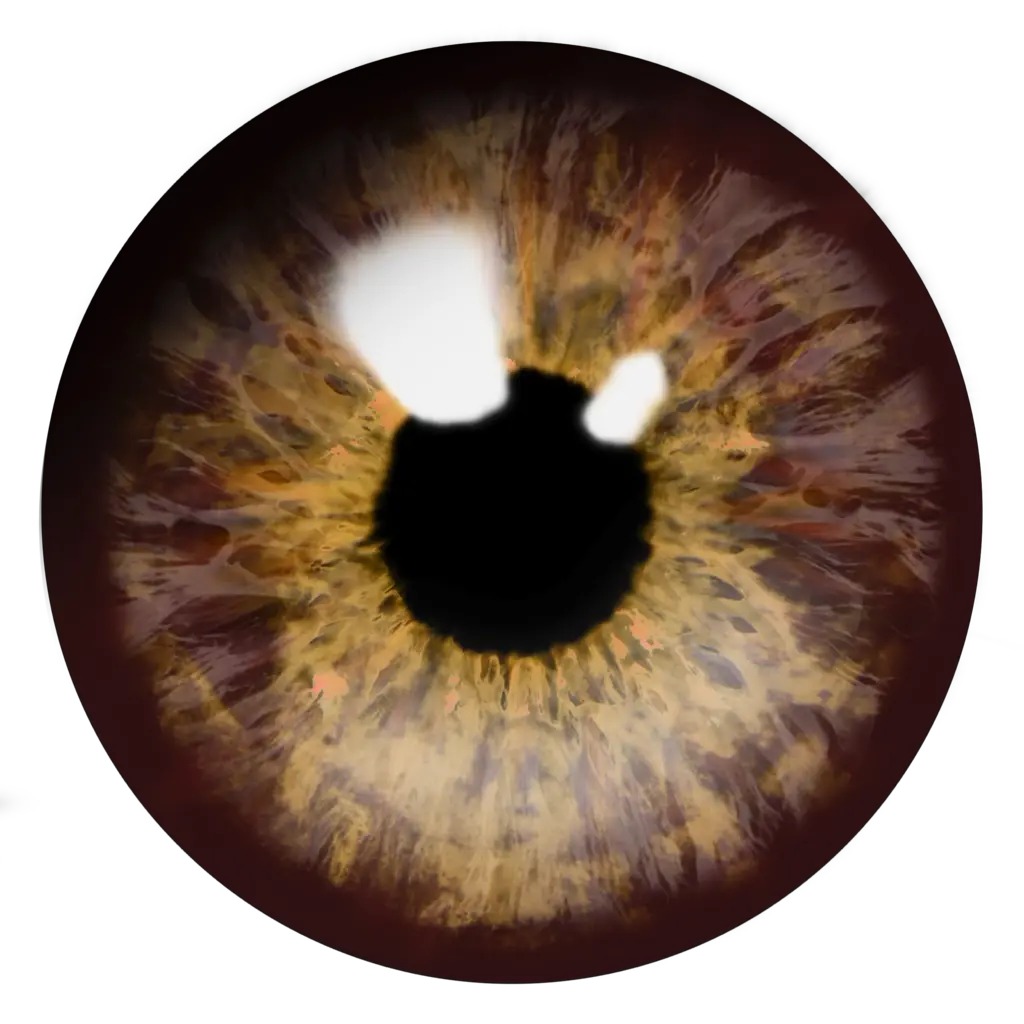 Eye Side View Png