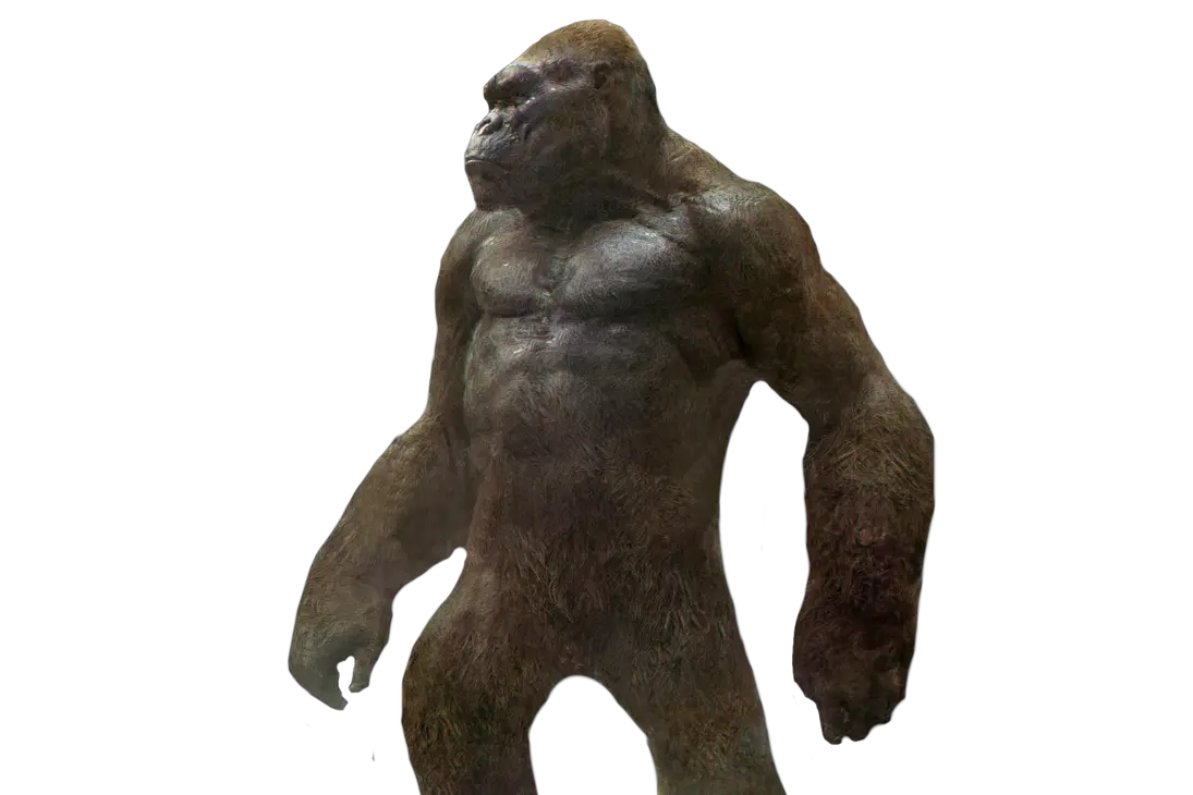 King Kong Png King Kong Png Kong Png