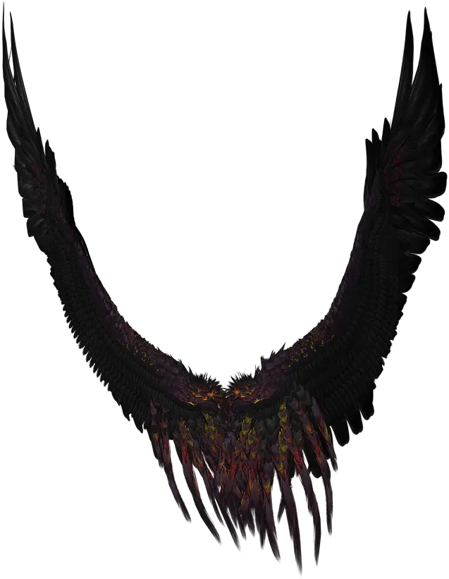 Long Black And Purple Wings Transparent Png Stickpng Angel Wings Transparent Background
