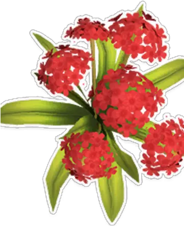 Red Hydrangea Hydrangea Png Hydrangea Png