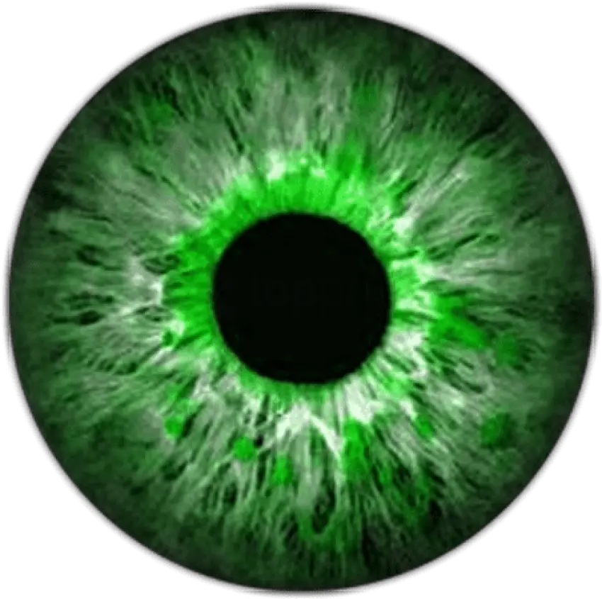 Eye Patch Transparent Png